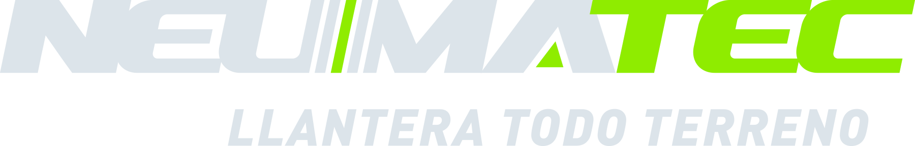 Logo de Neumatec